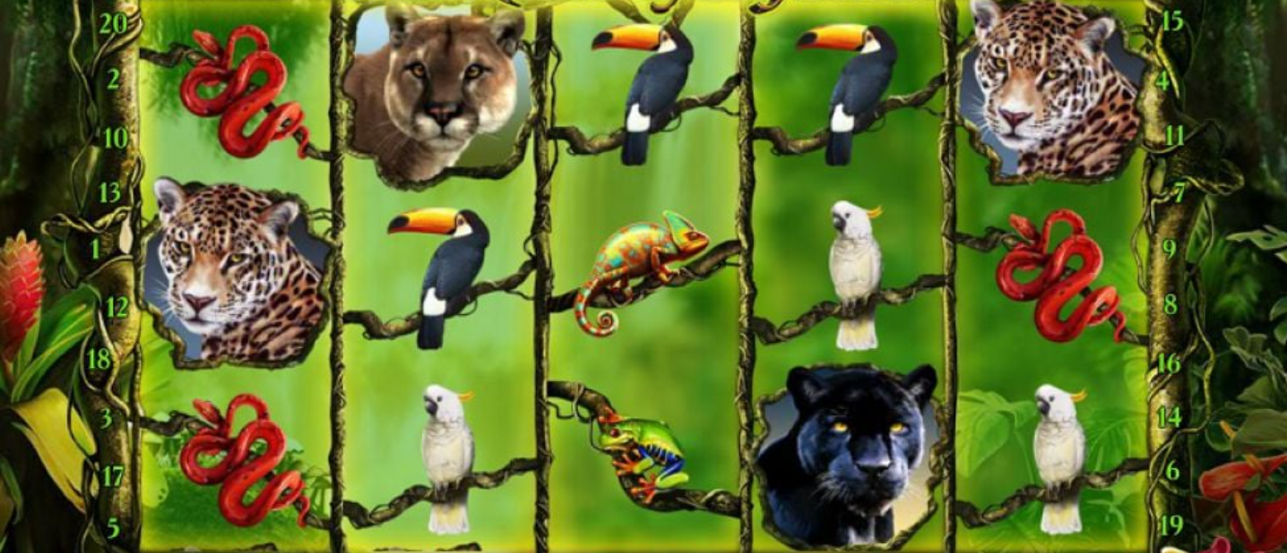 Review of the Amazon slot games 2