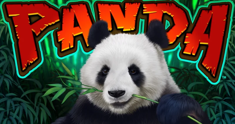 Review of the Panda Slots