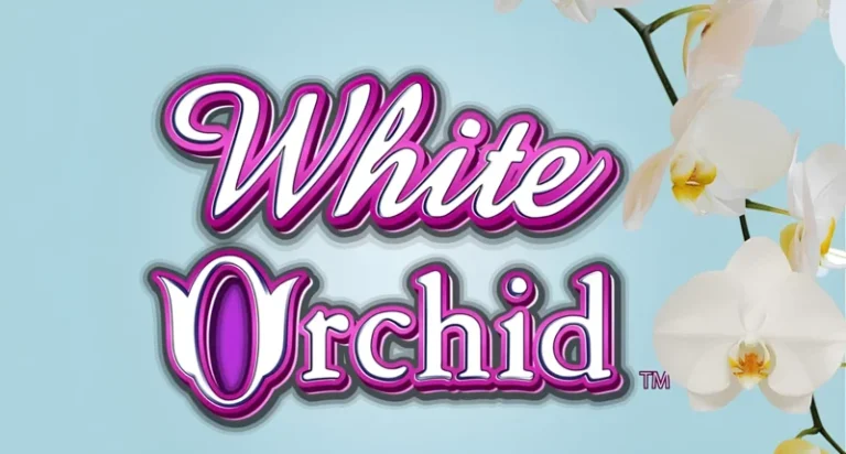 Testbericht zu den White Orchid Slots