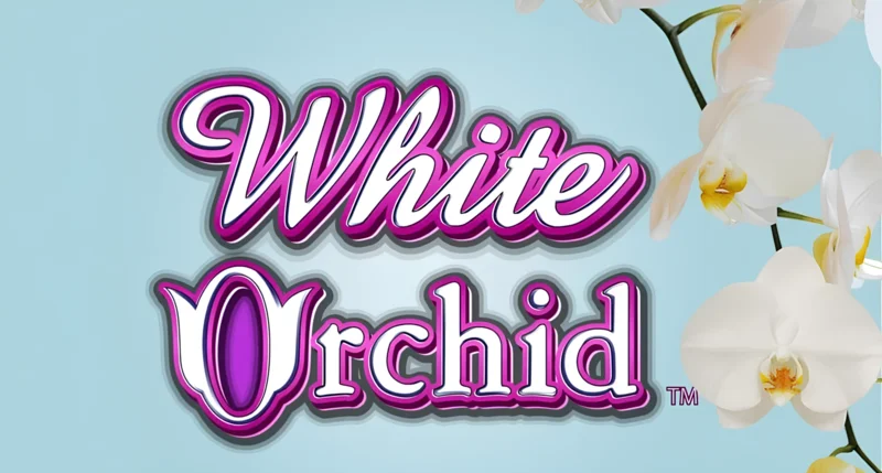 Review of the White Orchid slots