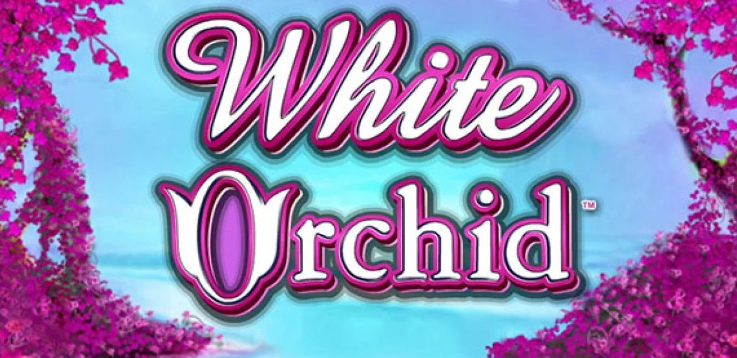Review of the White Orchid slots 1