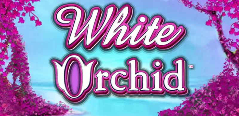 Review of the White Orchid slots 2