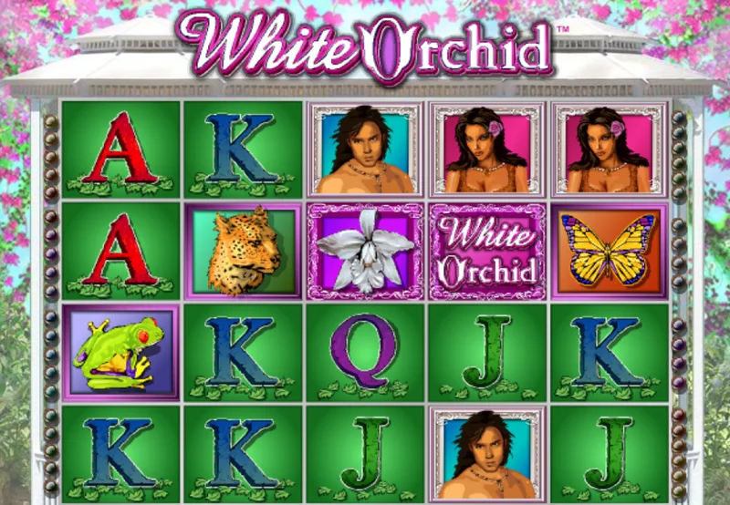Review of the White Orchid slots 3