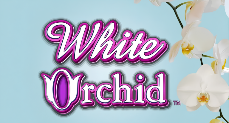Review of the White Orchid slots