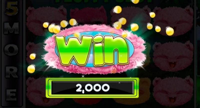 FLUFFY SLOTS