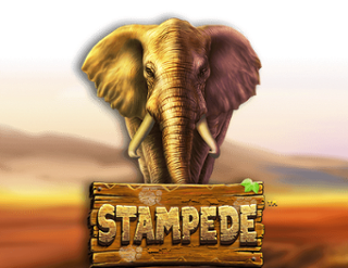 Stampede slots