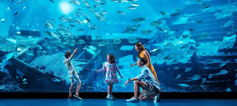 Could the New Aquarium Attraction Turn the Tide for Resorts World Sentosa? 2